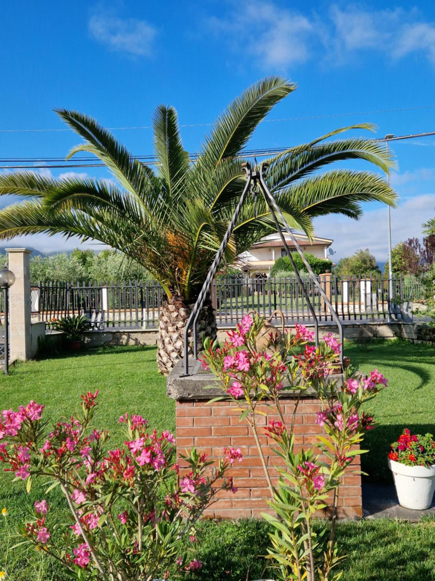 Relax In Campagna - Aquino Apartment Bagian luar foto