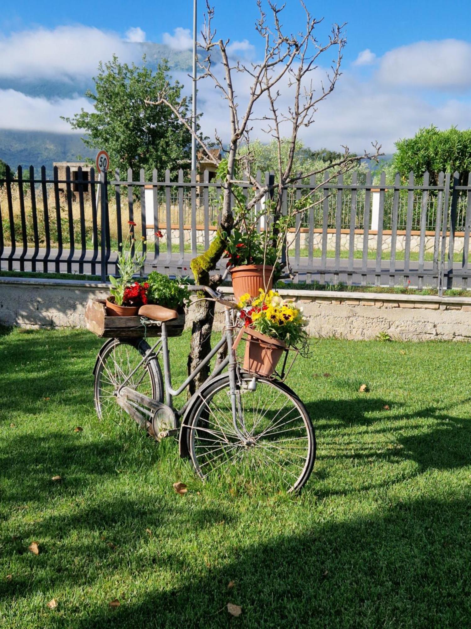 Relax In Campagna - Aquino Apartment Bagian luar foto